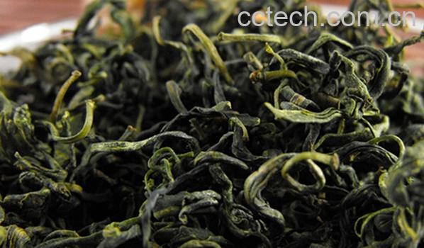 果蔬百科枸杞叶茶-0