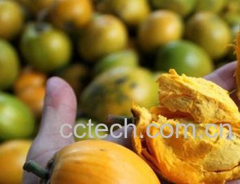 果蔬百科蛋黄果的功效与作用-0