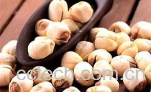 果蔬百科莲子的功效与作用及食用方法-0