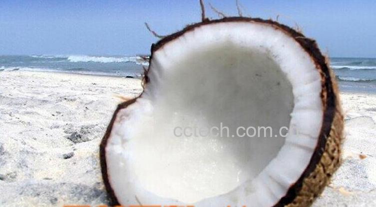 果蔬百科椰子粉的功效与作用-0