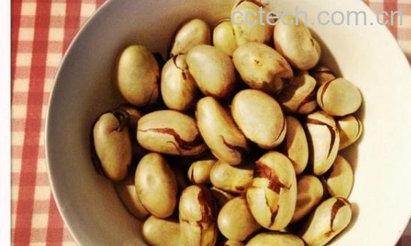 果蔬百科菠萝蜜核的吃法-0