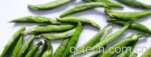 果蔬百科竹叶青-0