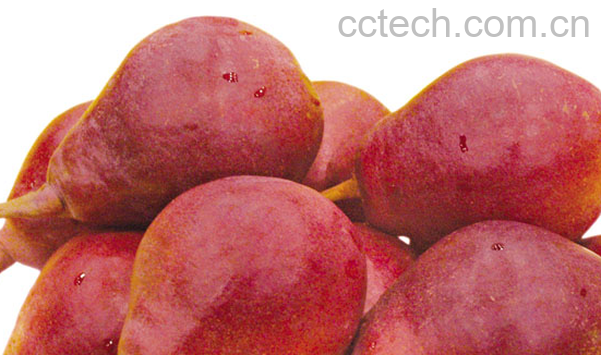 果蔬百科红巴梨的功效与作用-0