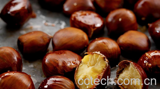 果蔬百科栗子的功效与作用-0