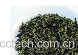 果蔬百科碧螺春-0