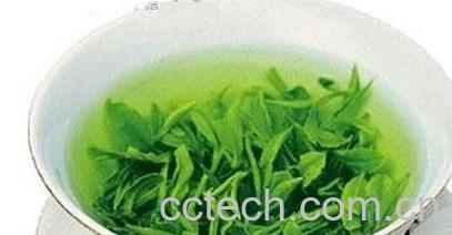 果蔬百科黄山毛峰-0