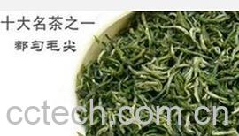 果蔬百科都匀毛尖-0