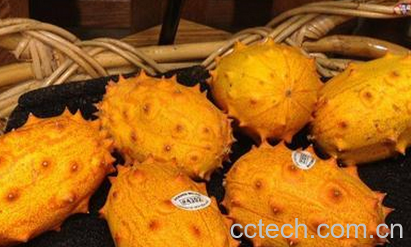 果蔬百科火参果的营养价值与功效-0