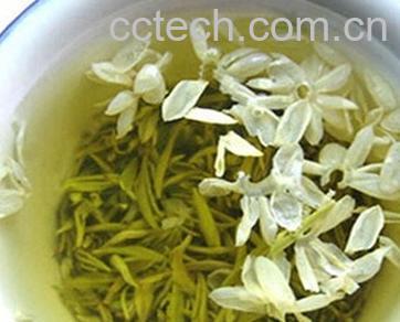 果蔬百科茉莉花茶-0