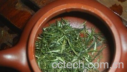 果蔬百科雨花茶-0