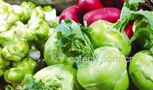 果蔬百科水果苤蓝的功效与作用-0