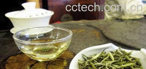 果蔬百科普洱生茶-0