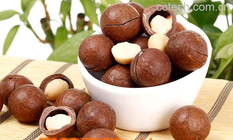 果蔬百科夏威夷果的功效与作用-0