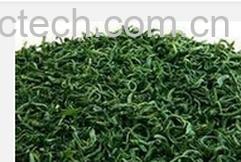 果蔬百科龟山岩绿-0