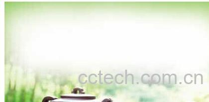 果蔬百科茶叶最佳冲泡方法-0