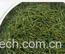 果蔬百科毛峰-0