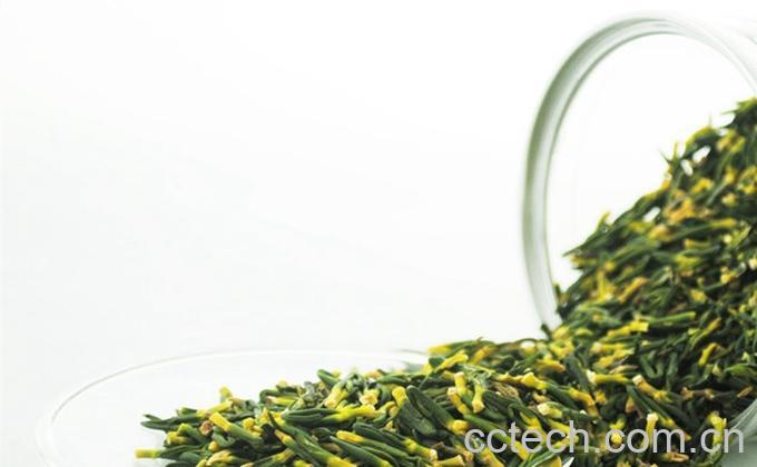 果蔬百科莲子心的功效与作用及食用方法-0