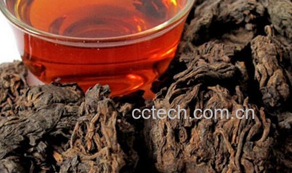 果蔬百科普洱老茶头-0