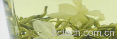 果蔬百科茉莉花花-0