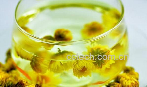 果蔬百科胎菊茶-0