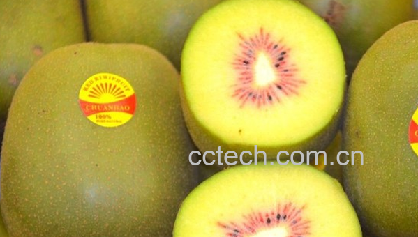 果蔬百科吃猕猴桃的注意事项-0