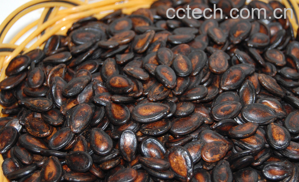 果蔬百科吃西瓜子的好处与坏处-0