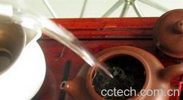 果蔬百科大红袍的泡法-0