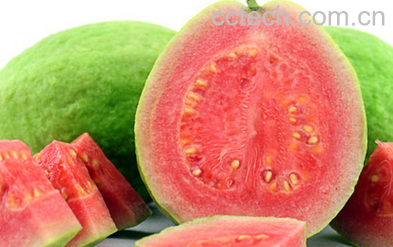 果蔬百科芭乐的常见吃法-0