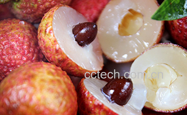 果蔬百科荔枝核能吃吗-0