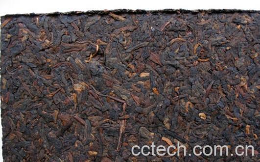 果蔬百科普洱茶砖-0