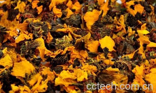 果蔬百科昆仑雪菊-0