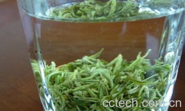 果蔬百科龙峰茶-0