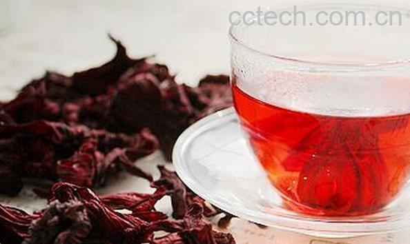 果蔬百科玫瑰茄-0