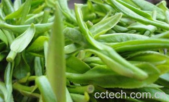 果蔬百科黄山毛峰茶-0