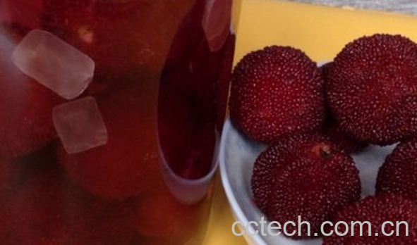 果蔬百科杨梅酒的做法-0