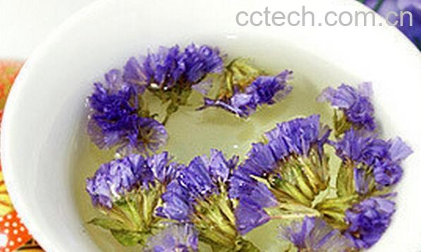 果蔬百科勿忘我花茶-0