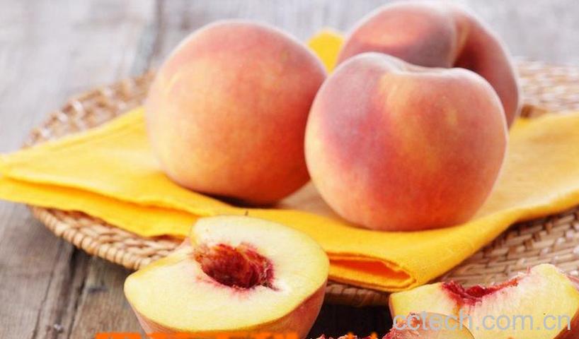 果蔬百科桃子的功效与作用-0
