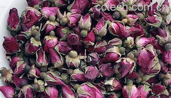 果蔬百科紫玫瑰泡水-0