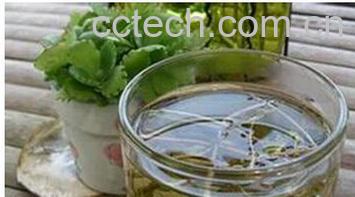 果蔬百科蒲公英-0