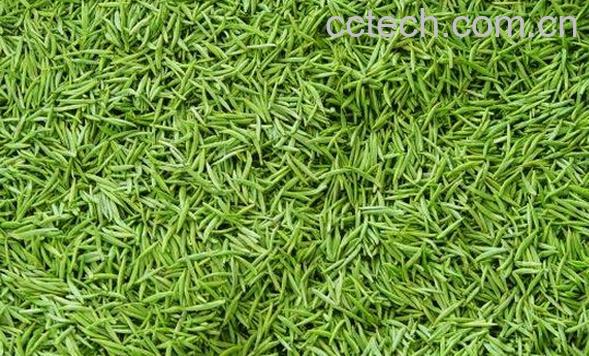 果蔬百科雨花茶-0