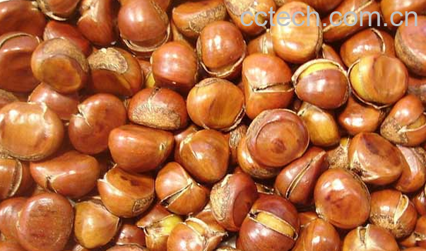 果蔬百科栗子怎么去皮好-0
