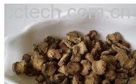 果蔬百科牛蒡茶-0