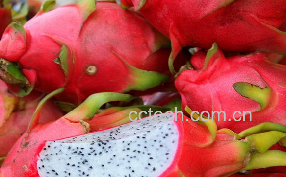 果蔬百科吃火龙果的好处有哪些-0