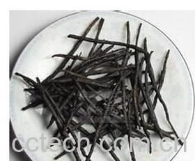 果蔬百科苦丁茶-0