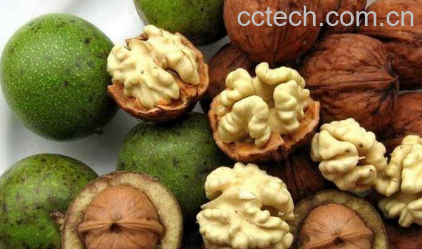 果蔬百科核桃的药用价值-0