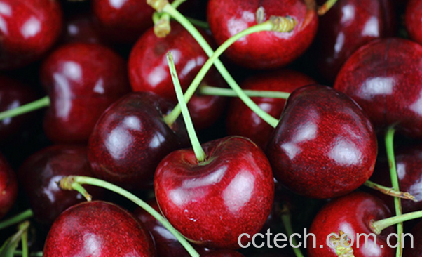 果蔬百科吃樱桃的好处与坏处-0