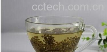 果蔬百科人参花-0