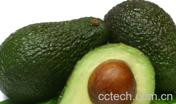 果蔬百科牛油果的营养价值与功效-0
