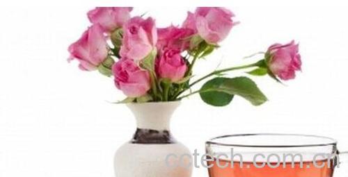 果蔬百科玫瑰花-0