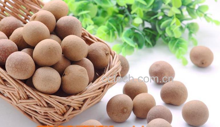 果蔬百科桂圆的功效与作用 桂圆食用禁忌-0